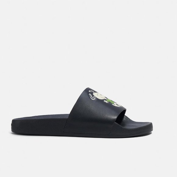 🐶 Coach X Peanuts Slide With Snoopy 12 - Picture 3 of 12